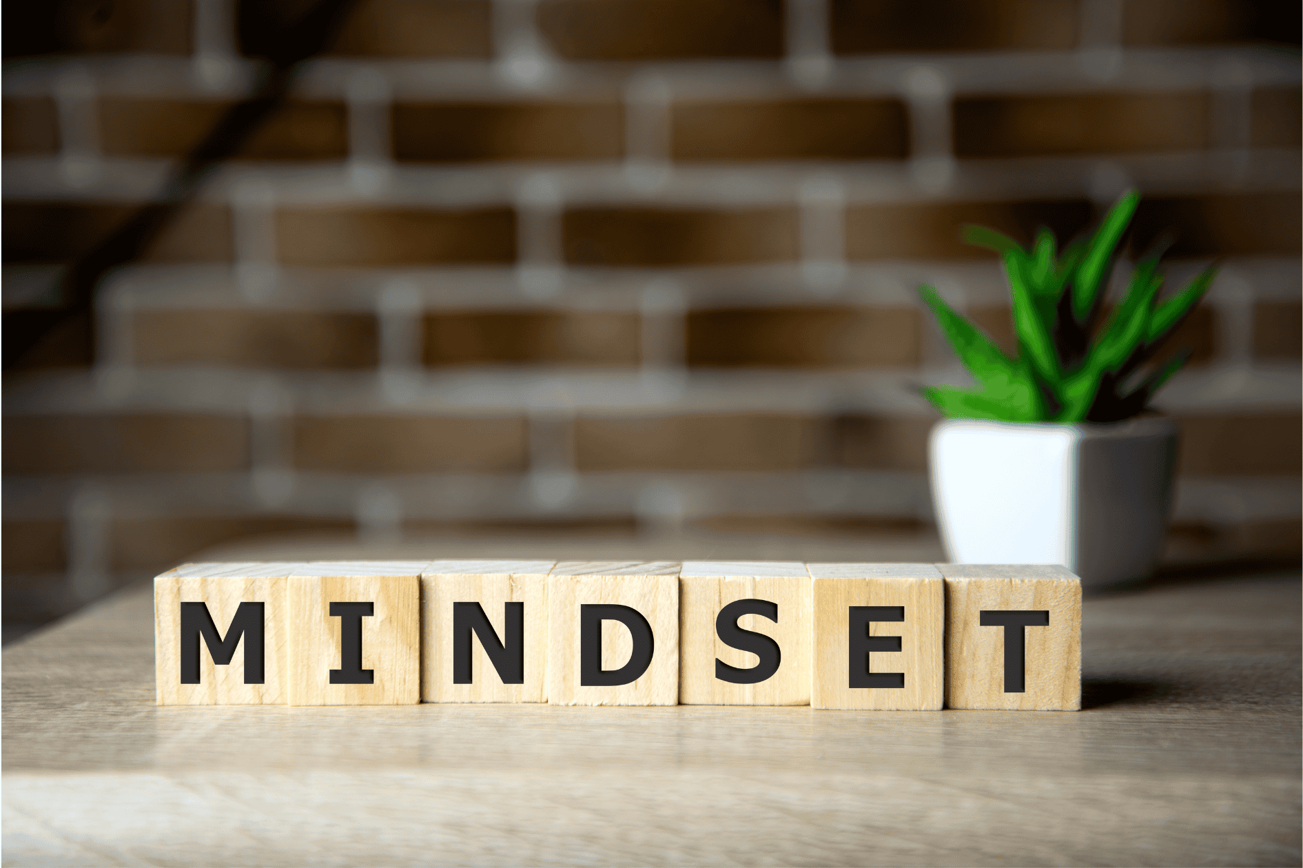 leadership mindset